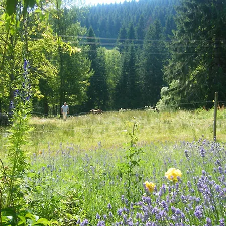 Waldhuesli Gartengeschoss * Feldberg (Baden-Wurttemberg)