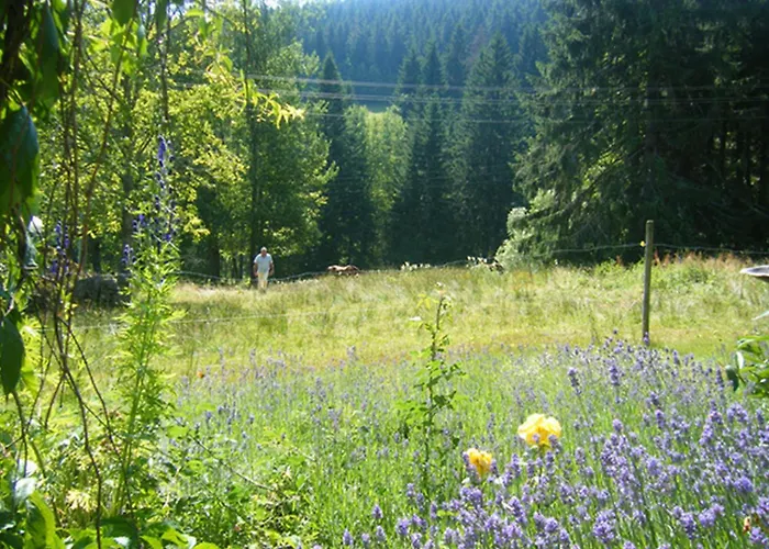 Waldhuesli Gartengeschoss Lägenhet